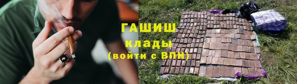 прущие грибы Осинники